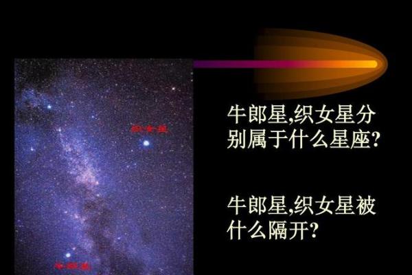 探讨牛郎星的星座归属与天文意义